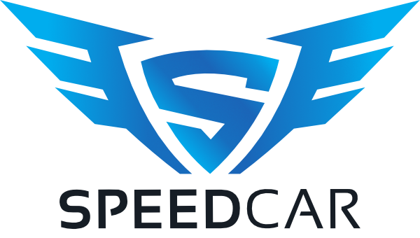 Logo kolorowe paczkaszwajcaria.pl - Przewóz paczek do Szwajcarii. Dostarczamy profesjonalnie paczki do Polski, Niemiec oraz Szwajcarii.Zapraszamy do współpracy.