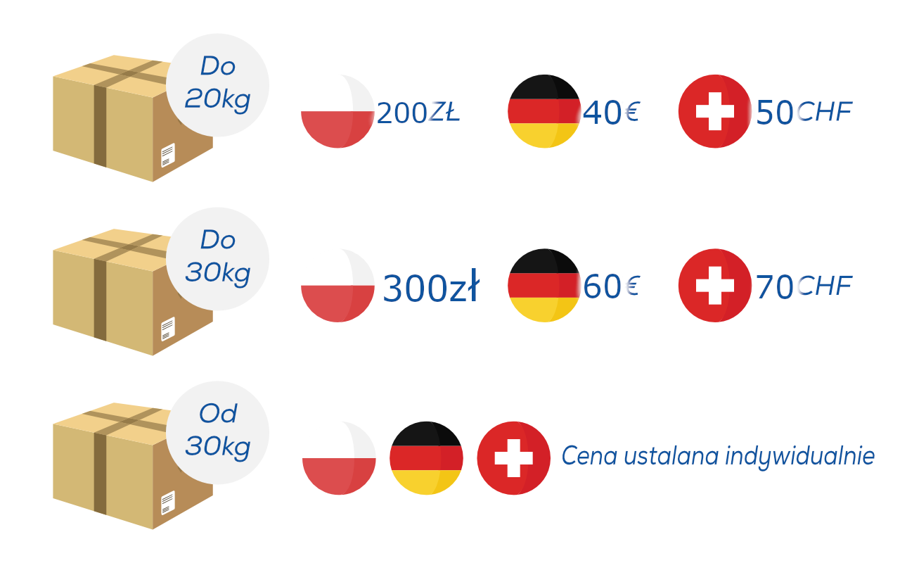 paczkaszwajcaria.pl - Speedcar paczki do Polski, Niemiec i Szwajcarii